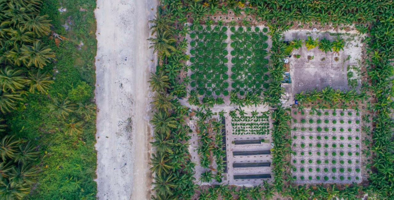 Sunview Residence Kaashidhoo Bagian luar foto